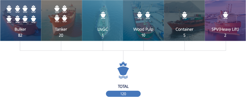 Bulker:49/Tanker:16/LNGC:1/Wood Pulp:5/Container:2/SPV(Heavy Lift):2/TOTAL:75 Bulker:49/Tanker:16/LNGC:1/Wood Pulp:5/Container:2/SPV(Heavy Lift):2/TOTAL:75
