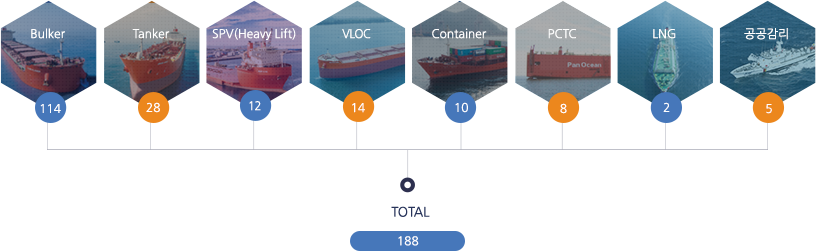 Bulker:102/Tanker:26/SPV(Heavy Lift):12/VLOC:8/Container:8/PCTC:8/LNG:2/Public Supervision:3/TOTAL:169